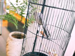 -阜昌典当行(阜成门店)