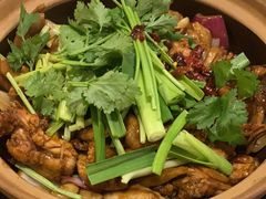 -胡须佬鸡煲四季火锅店(石厦西村直营店)