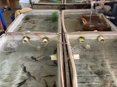 -西江河鲜·趣苑酒楼(鼎湖店)