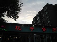 -桃子餐厅·天津菜(红星路直营店)