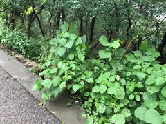 -紫金山索道-售票处