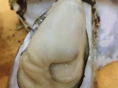 -蚝专家(北滘店)