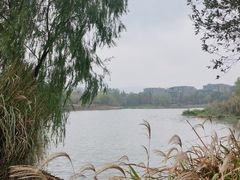 -长广溪湿地公园