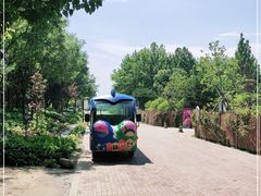 -安德鲁户外烧烤帐篷营地(马泉营店)