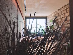 -天水蔬食料理(树德之光店)