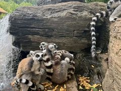 -秦皇岛野生动物园