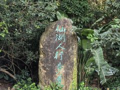 -深圳仙湖植物园