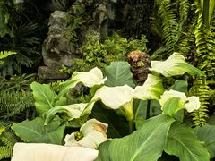 -国家植物园南园