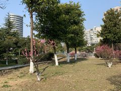 -凤城河风景区