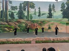 -美的鹭湖探索王国