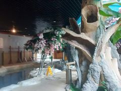 -中铁花水湾四季温泉谷