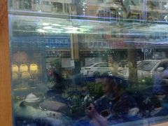 -山涧肴·泉水煮活鱼(坂田店)