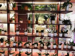 -二酉书店TOYOU BOOKS