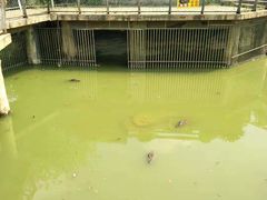 -南昌动物园