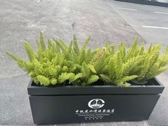 -中铁花水湾温泉酒店(大邑店)