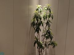 -东方威尼斯温泉酒店