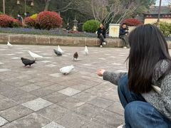 -普陀山风景名胜区-法雨禅寺