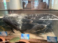 -上名堂·鱼头好吃(体育场路店)