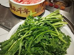 -龍歌自助小火锅(雨花台江南虹悦城店)