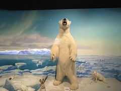 -陕西自然博物馆