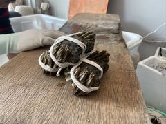 -阳澄湖大闸蟹·琼灵阁牌品牌连锁(吴中总店)