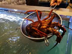 -同乐酒楼(皇后镇店)