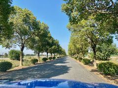 -乡乐园蟹庄·阳澄湖农家乐