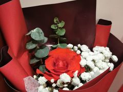 -海底捞火锅(连城广场店)