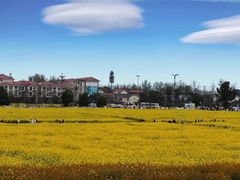 -中国天府农业博览园