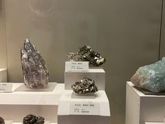 -天津自然博物馆