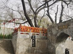 -大槐树寻根祭祖园
