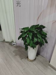 -安徽合肥韩美整形外科医院