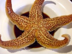 前海沿儿-鲁前海沿儿