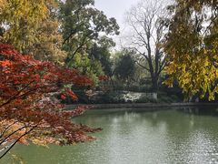 -习家池