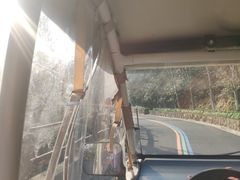 -杭州半山国家森林公园