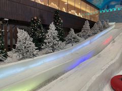 -世界之窗阿尔卑斯冰雪世界