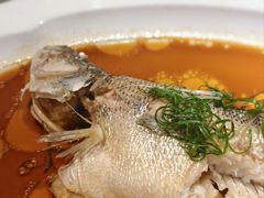 -广东道至正餐厅(区庄店)