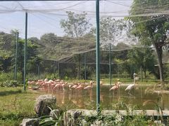 -石家庄市动物园