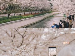 -鸡鸣寺