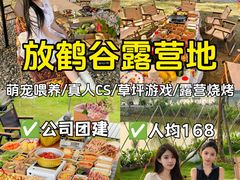 -上海山野camping·户外天幕烧烤·团建拓展营地