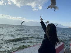 -大理洱海