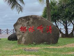 -万绿园