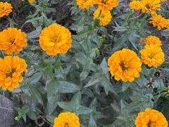 -黄陂区野村谷景区