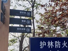 -北京鹫峰国家森林公园