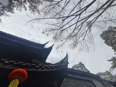 -黄龙溪古镇