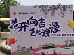 -嘉定紫藤园