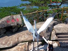 -罗田薄刀峰风景区