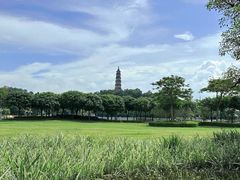 -顺峰山公园