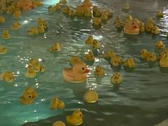 -苏州湾·王焰温泉