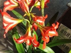 -老鼎万春卤菜(五代传承创始老店)